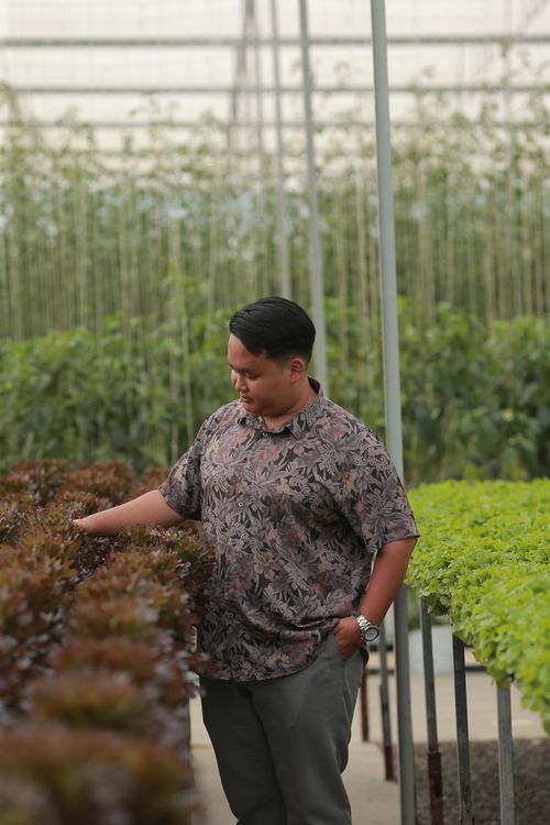 Free A man inspects various plants in a modern greenhouse setting. Stock Photo