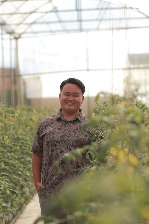 Free A cheerful adult posing in a lush greenhouse filled with green plants, conveying relaxation. Stock Photo