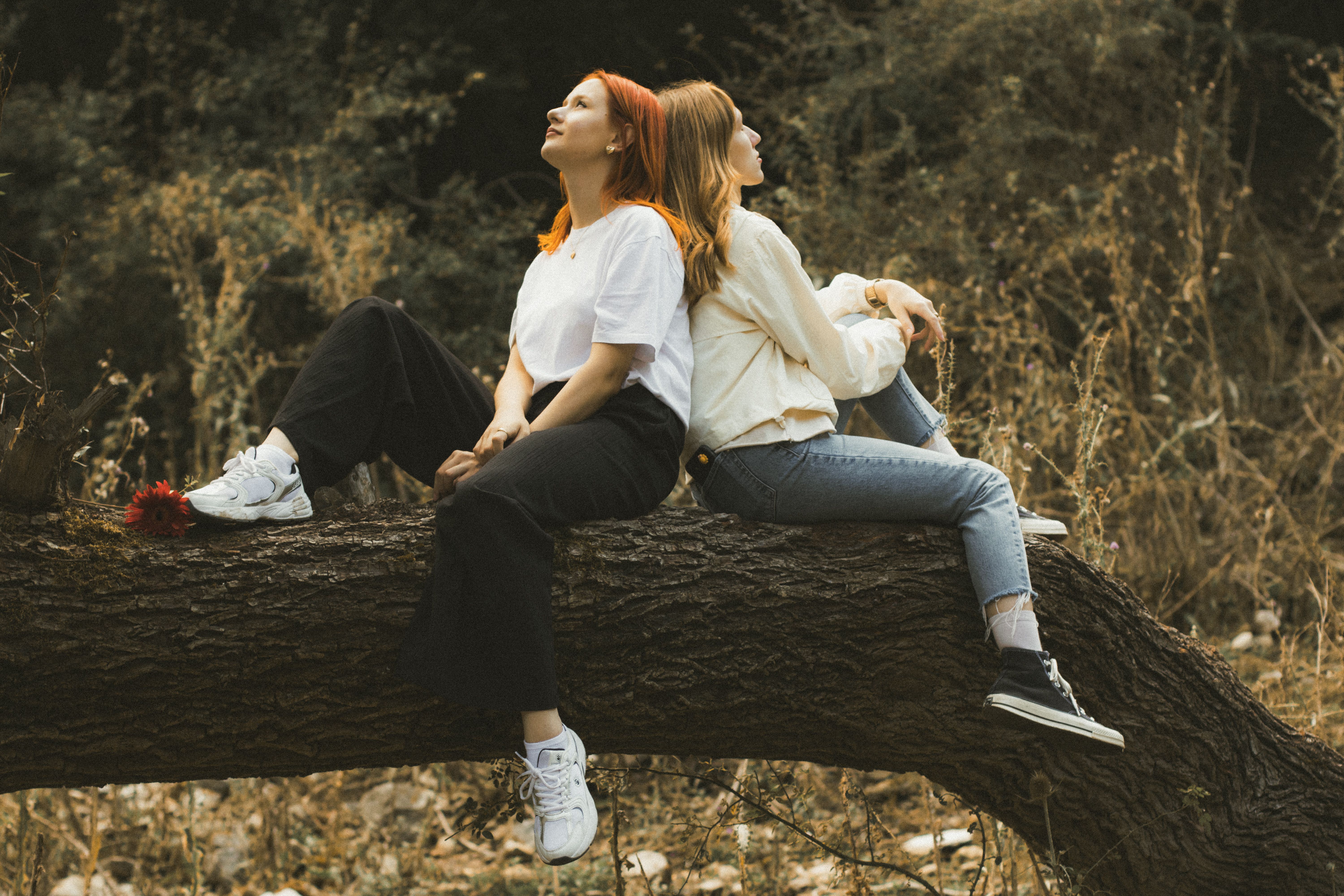 Women Sitting on Tree · Free Stock Photo
