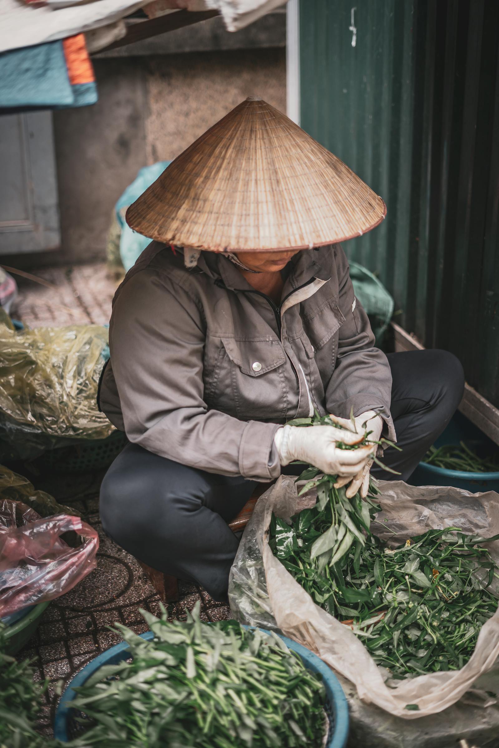 Man Giving Vegetables To Cow Photos, Download The BEST Free Man Giving