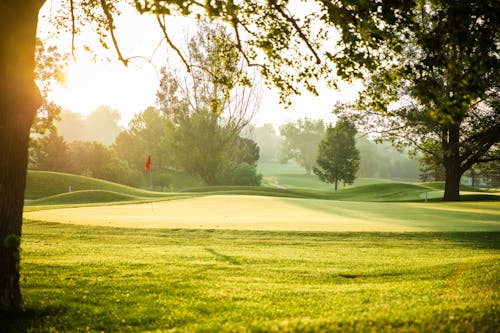 Foto profissional grátis de campo de golfe, ecológico, nascer do sol