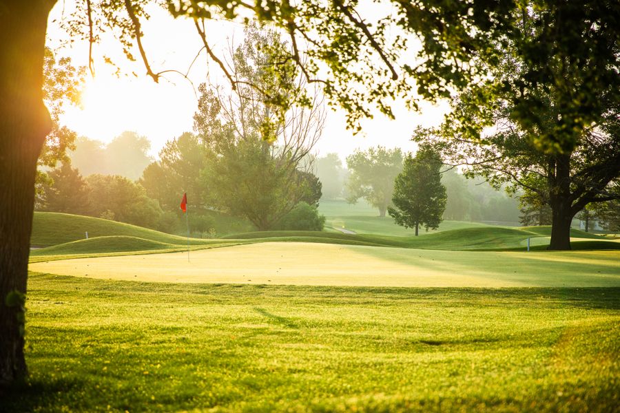 Evening mist settling over the bunker by the lodges