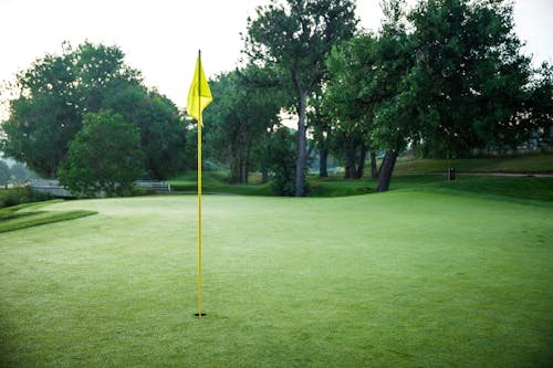 Imagine de stoc gratuită din teren de golf, verde