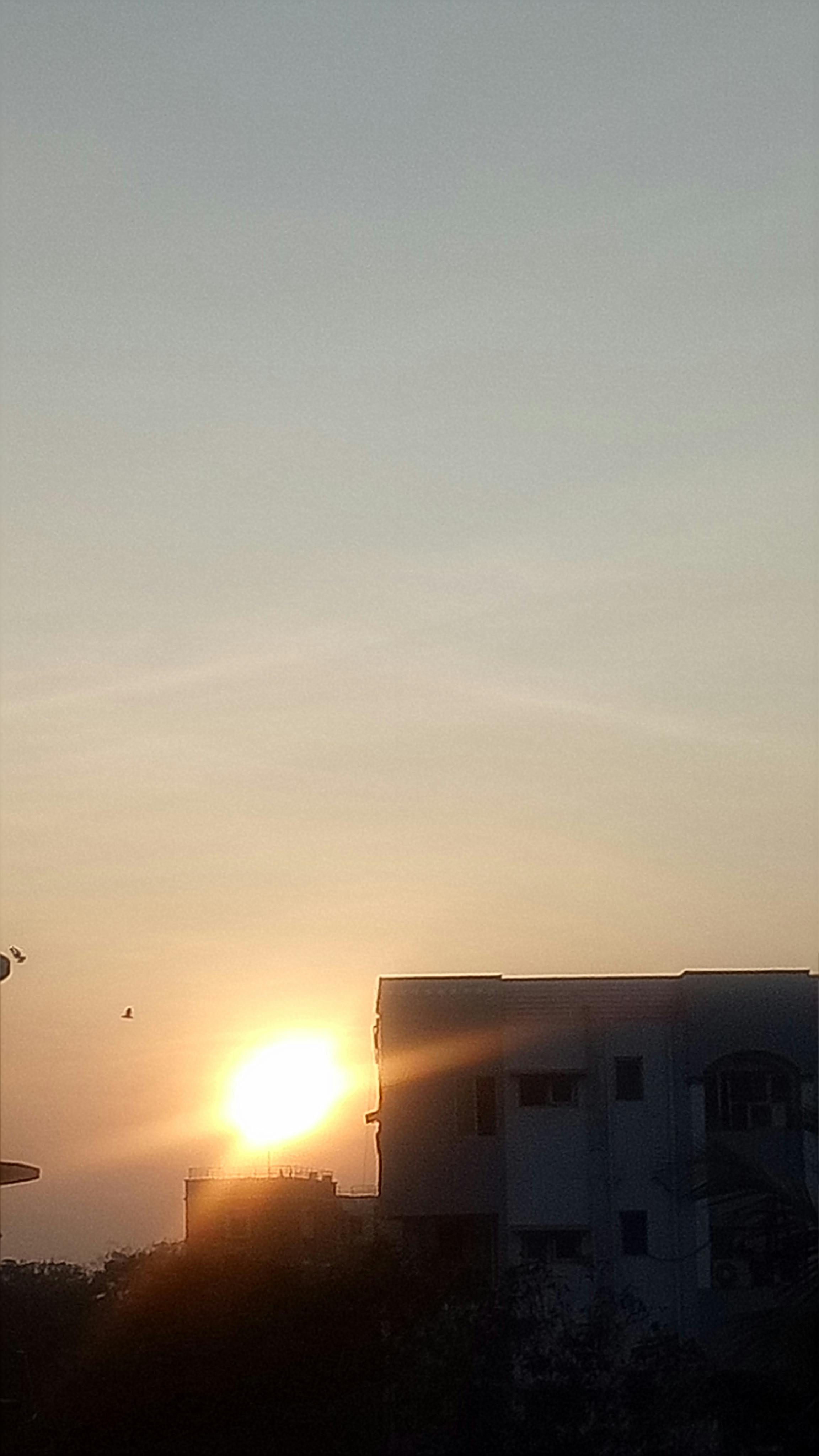 Golfer standing on a tee box looking down the fairway