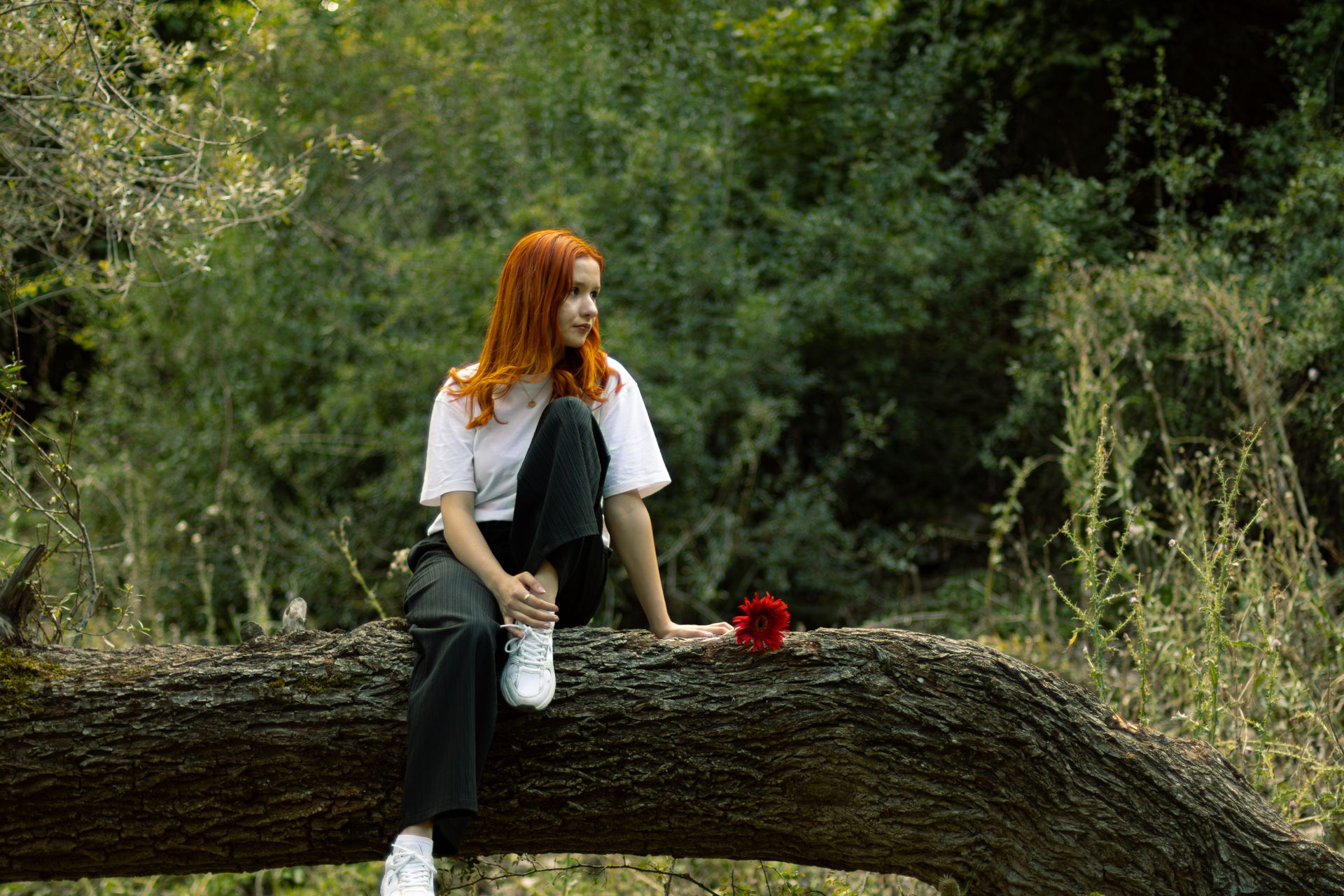 A red-haired woman sits on a tree in a serene park setting, Köseler, Amasya, Türkiye.