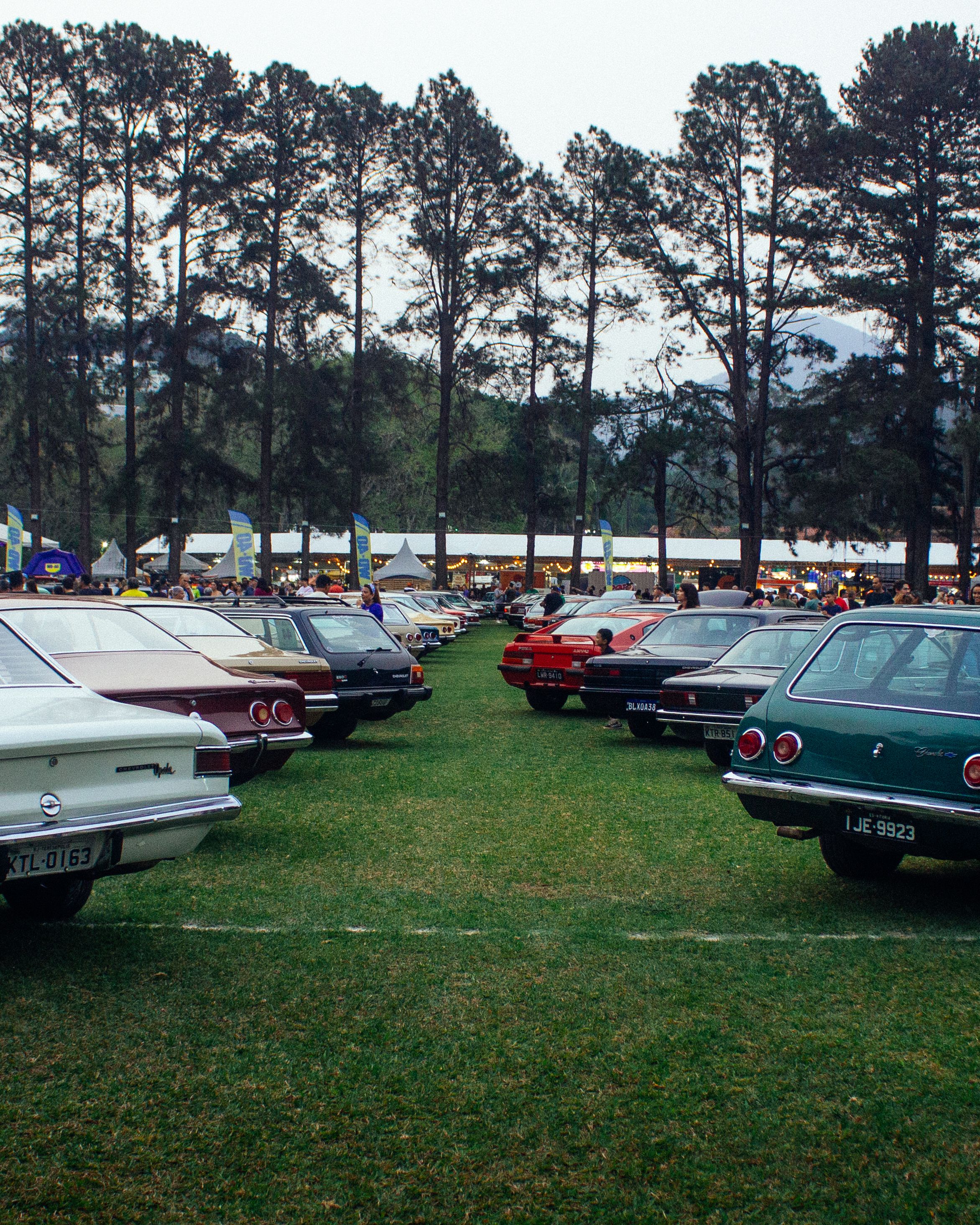 A vibrant outdoor classic car show with numerous vintage cars on display in a lush green setting.