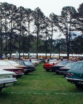 An outdoor gathering showcasing vintage vehicles among tall trees, capturing a nostalgic car event.
