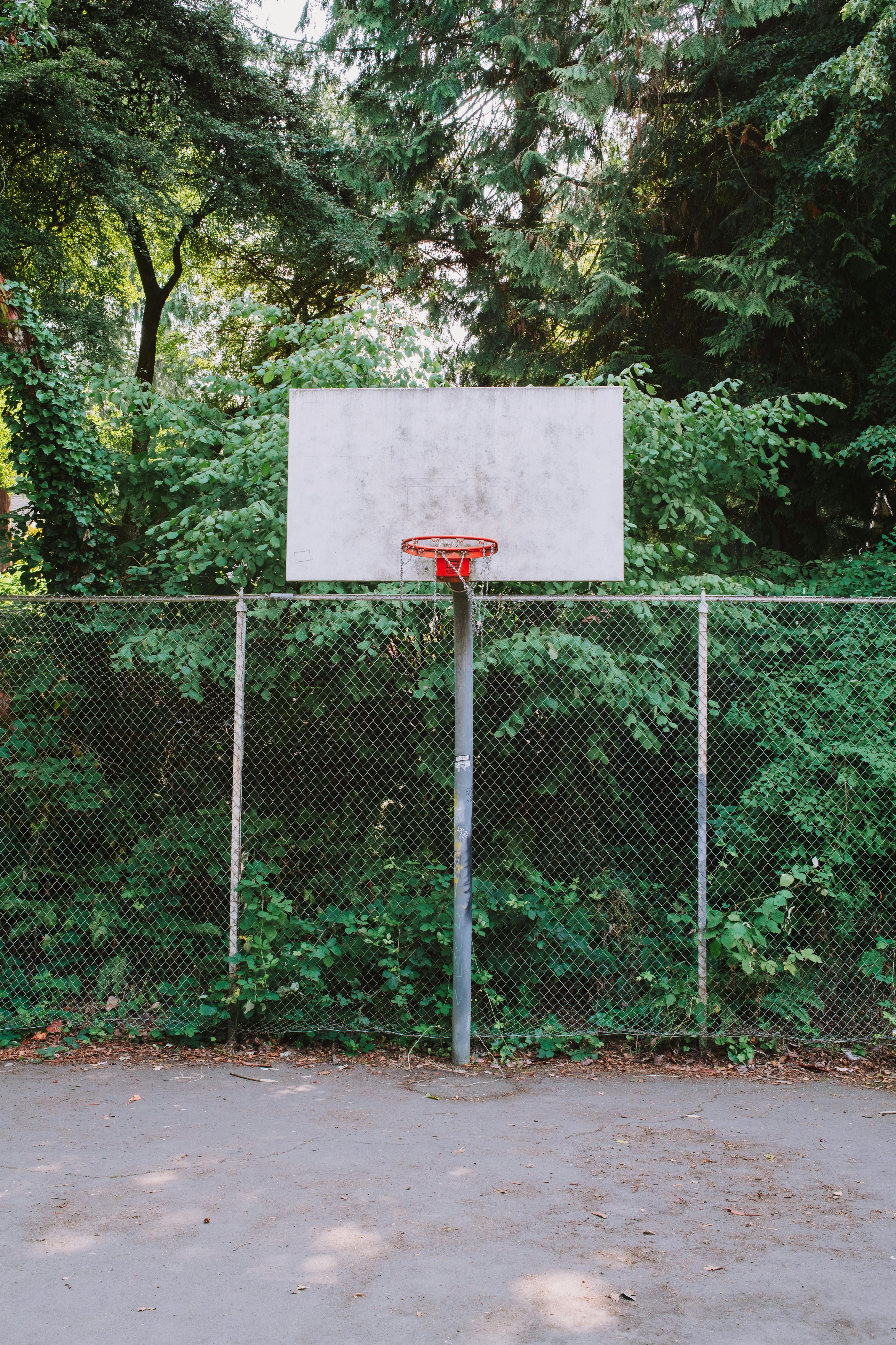 Empty basketball court with hoop surrounded by trees and fence in Seattle park.