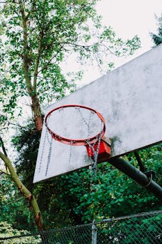 A weathered basketball hoop in a leafy outdoor setting in Seattle, WA.