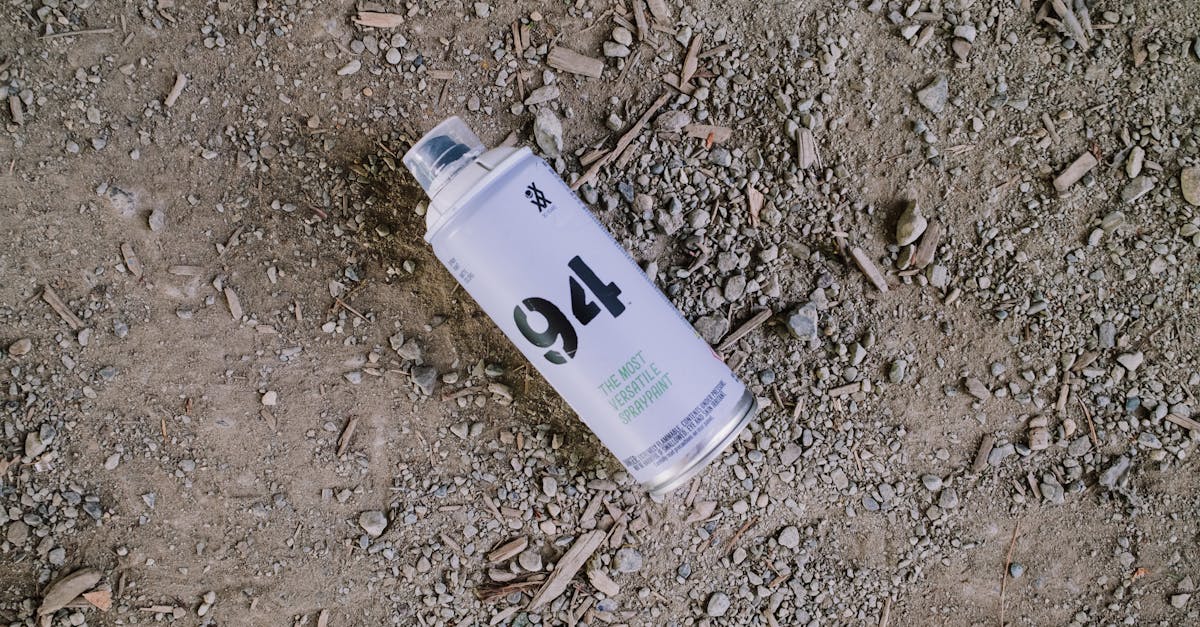 Dépolluer l'Air Urbain avec Votre Micro-Jardin