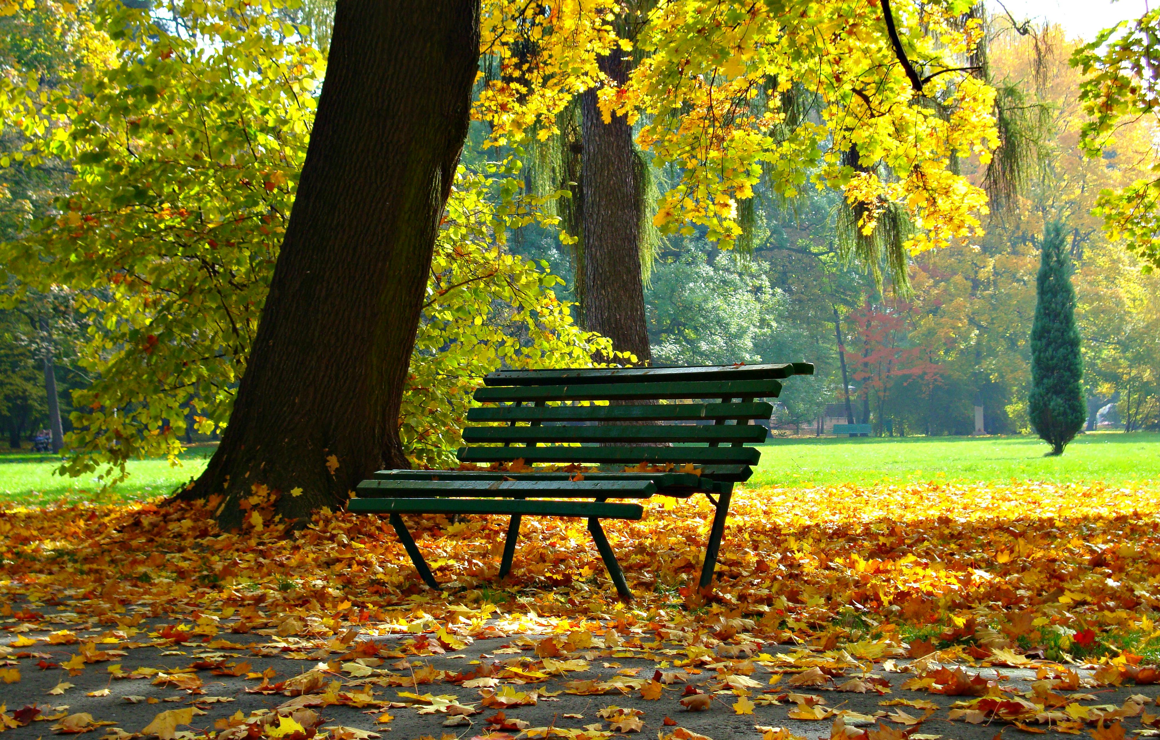 empty bench