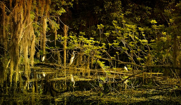 Restaurant Construction & Fit-out