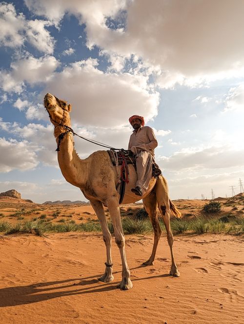 Free Man riding a camel in the picturesque dunes of Dubai's desert under a cloudy sky. Stock Photo