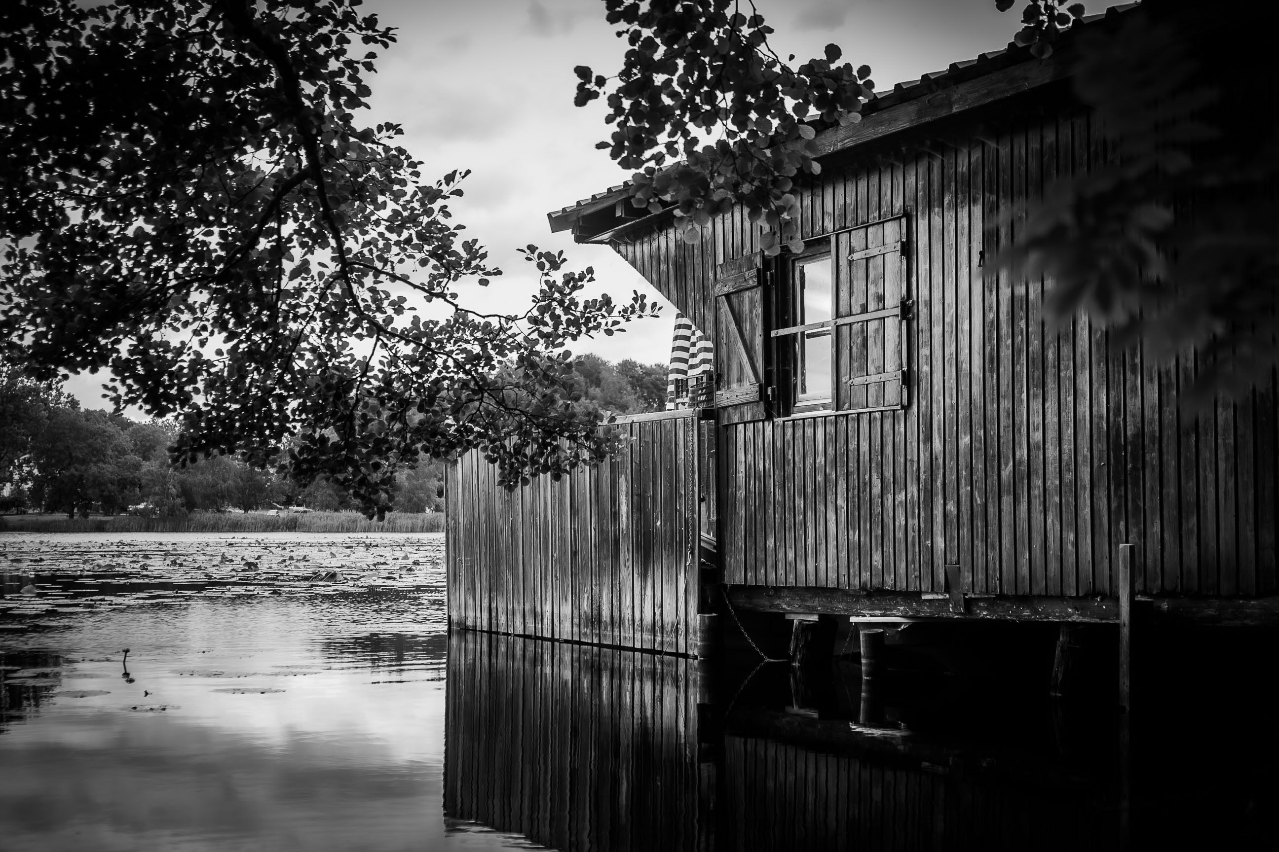 Wood Hoise · Free Stock Photo