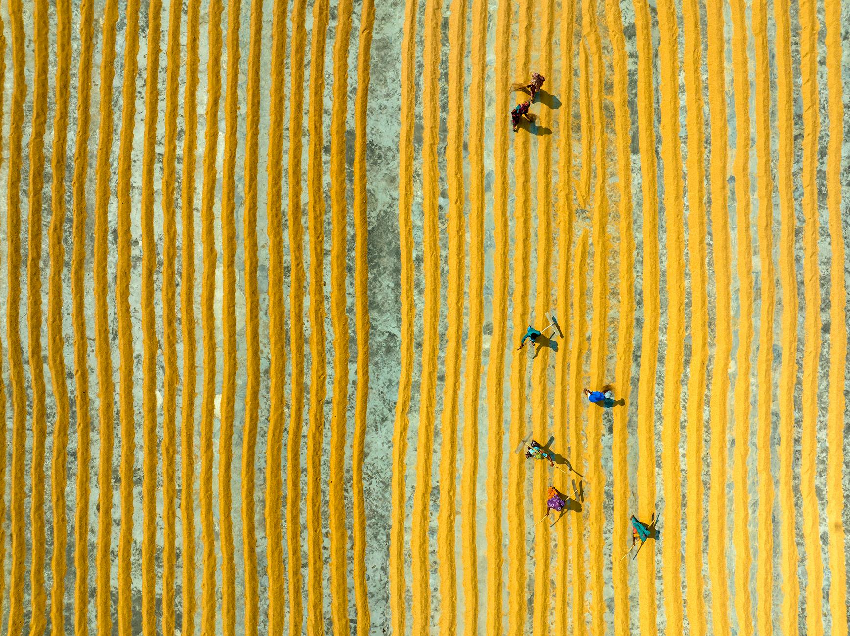 Image of people working together in a field