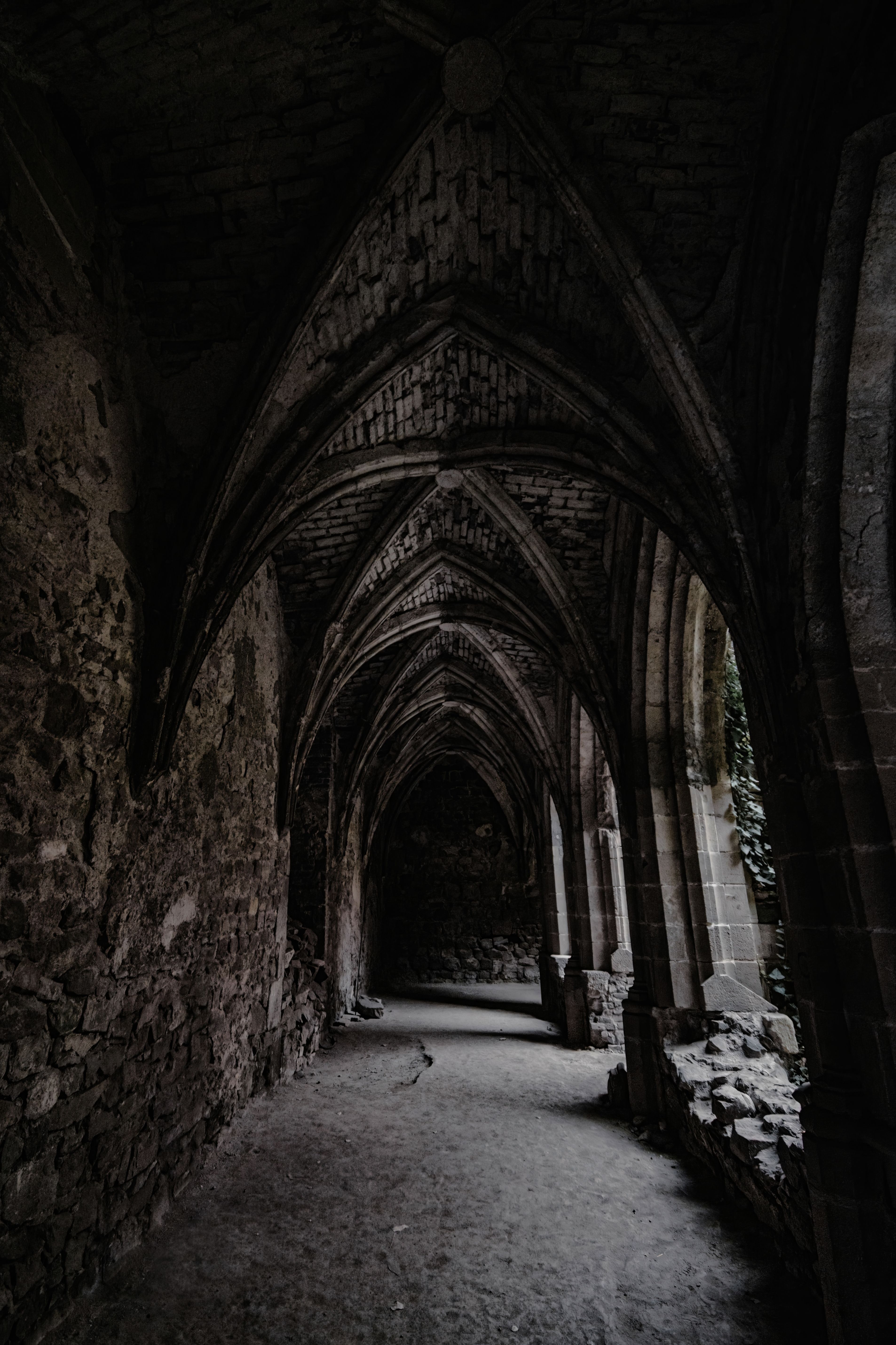 Grimoire of the Hollow Path