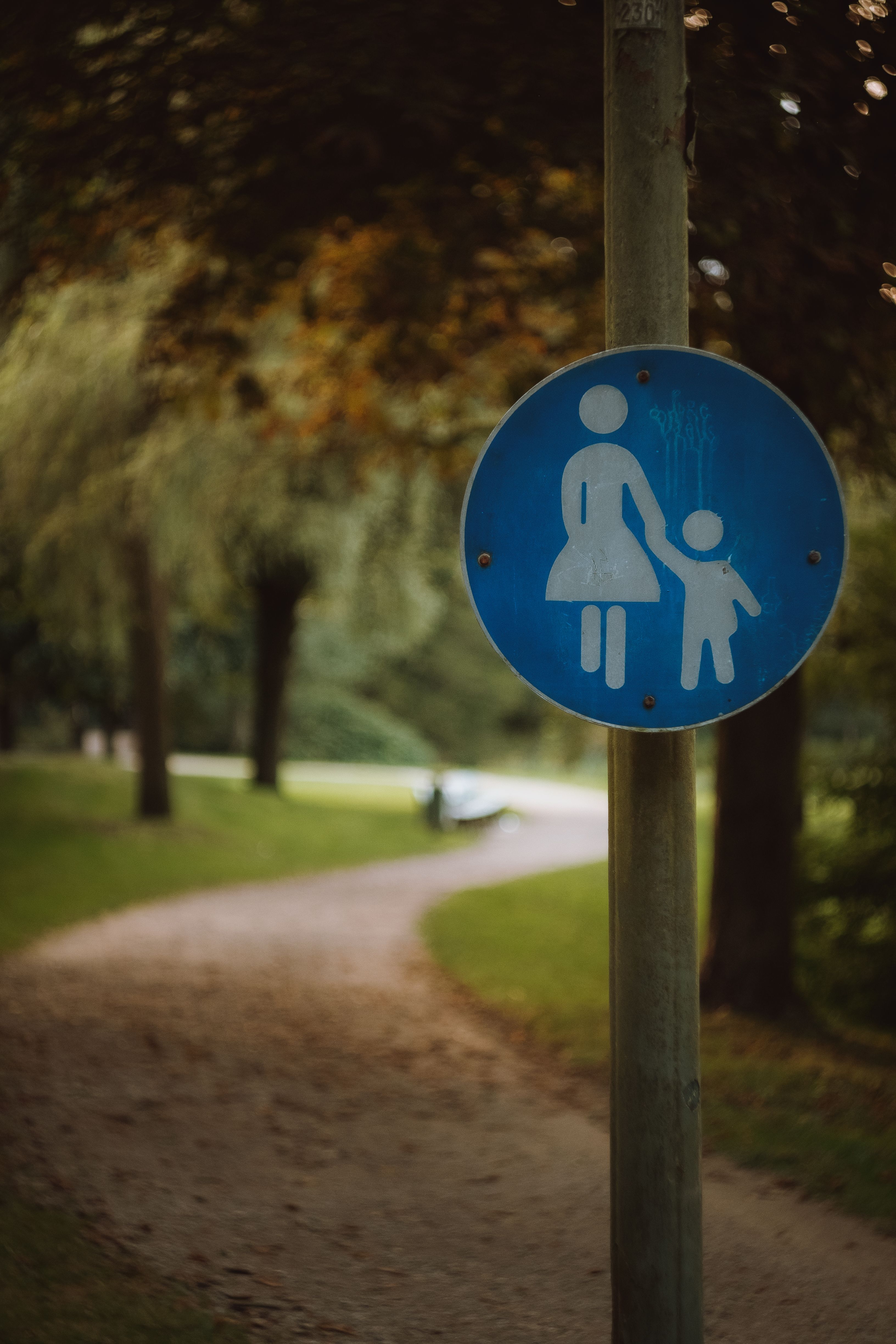 Sign by a Road in the Park · Free Stock Photo