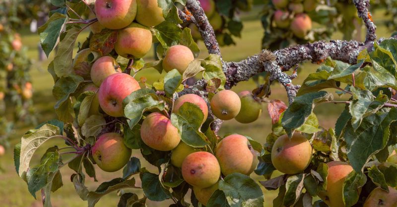 Malus au poids : comment calculer la taxe en 2026 ?