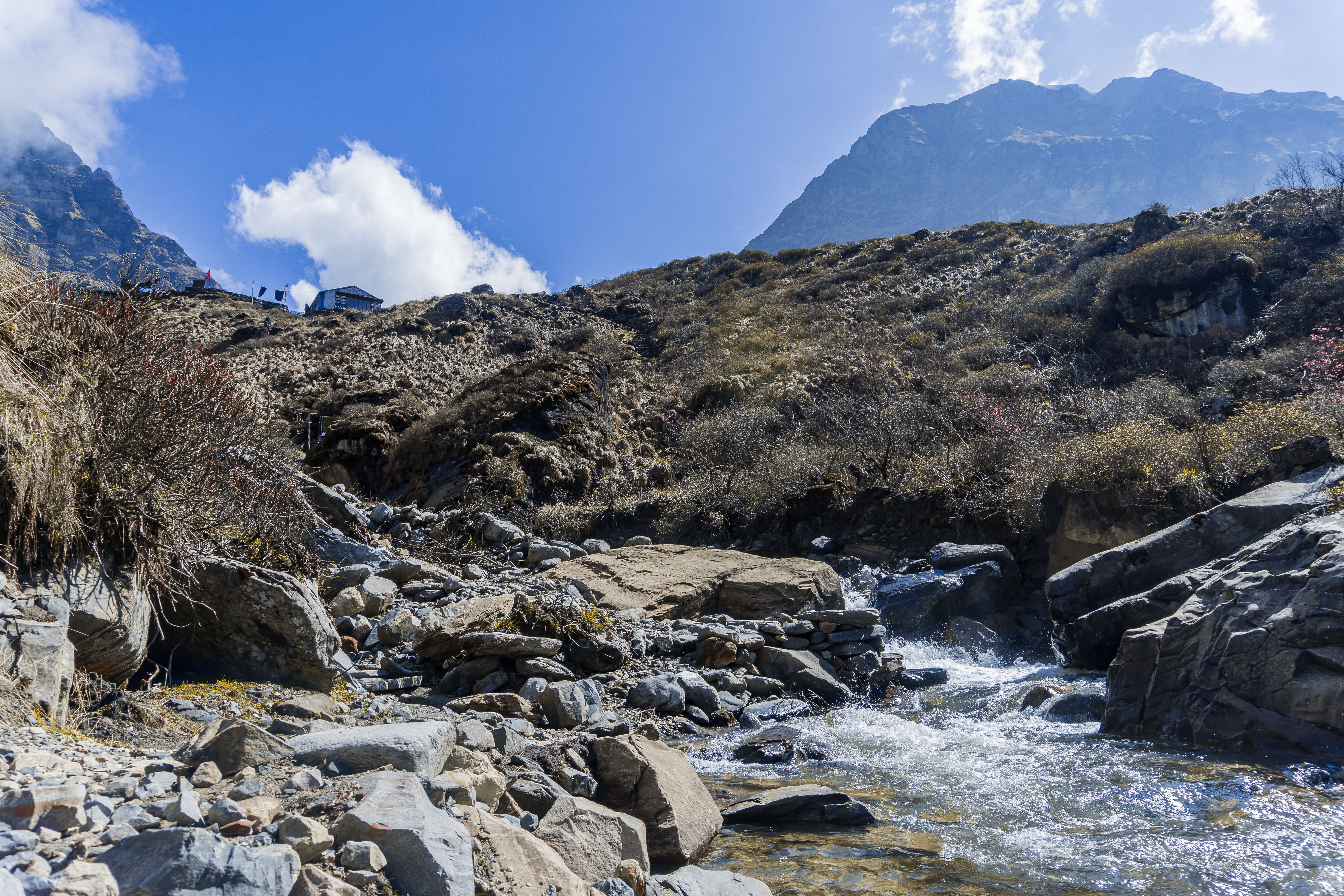 7 Day Yoga Trek to Poon Hill in Pokhara, Nepal 1