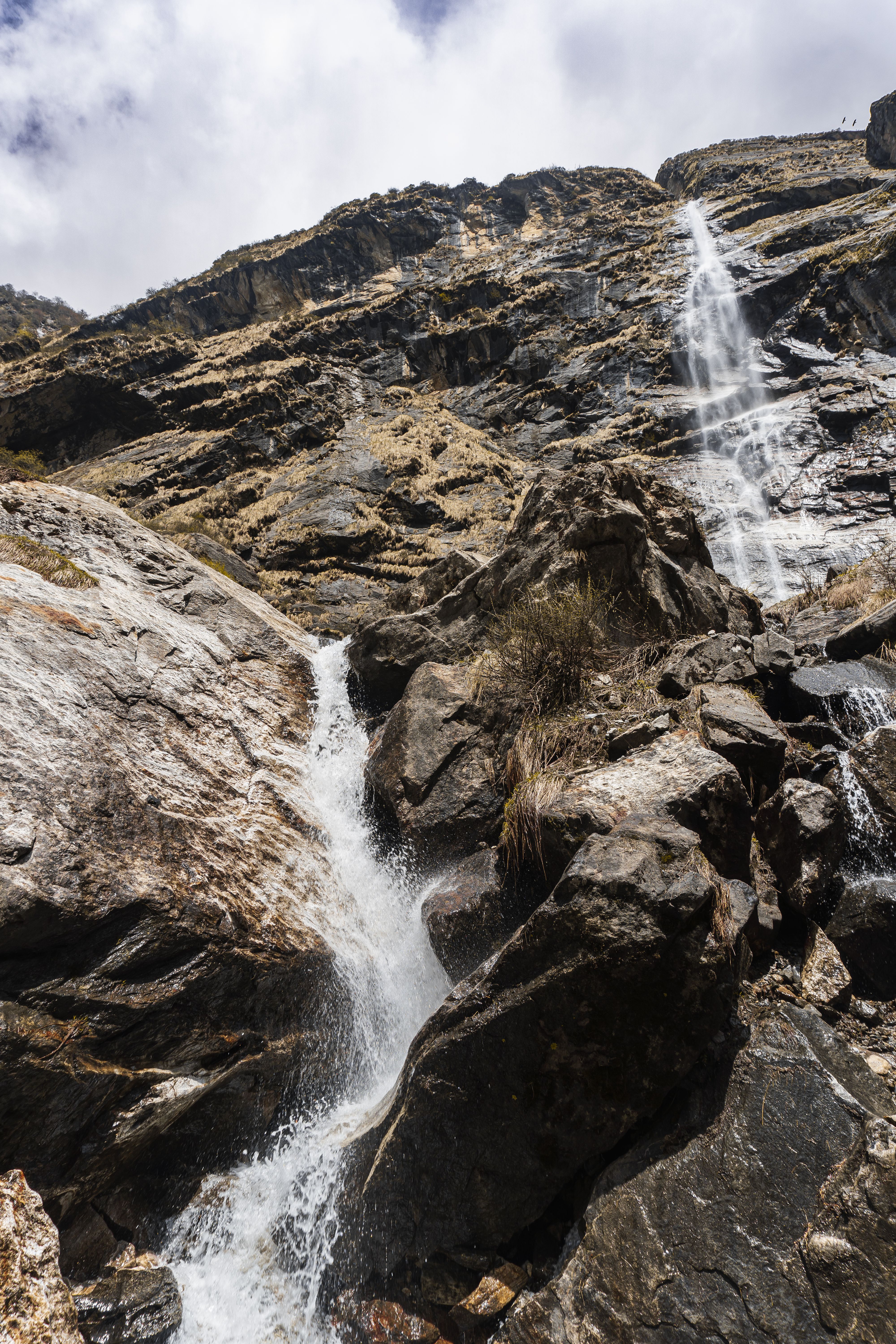 Stream in the Mountains · Free Stock Photo
