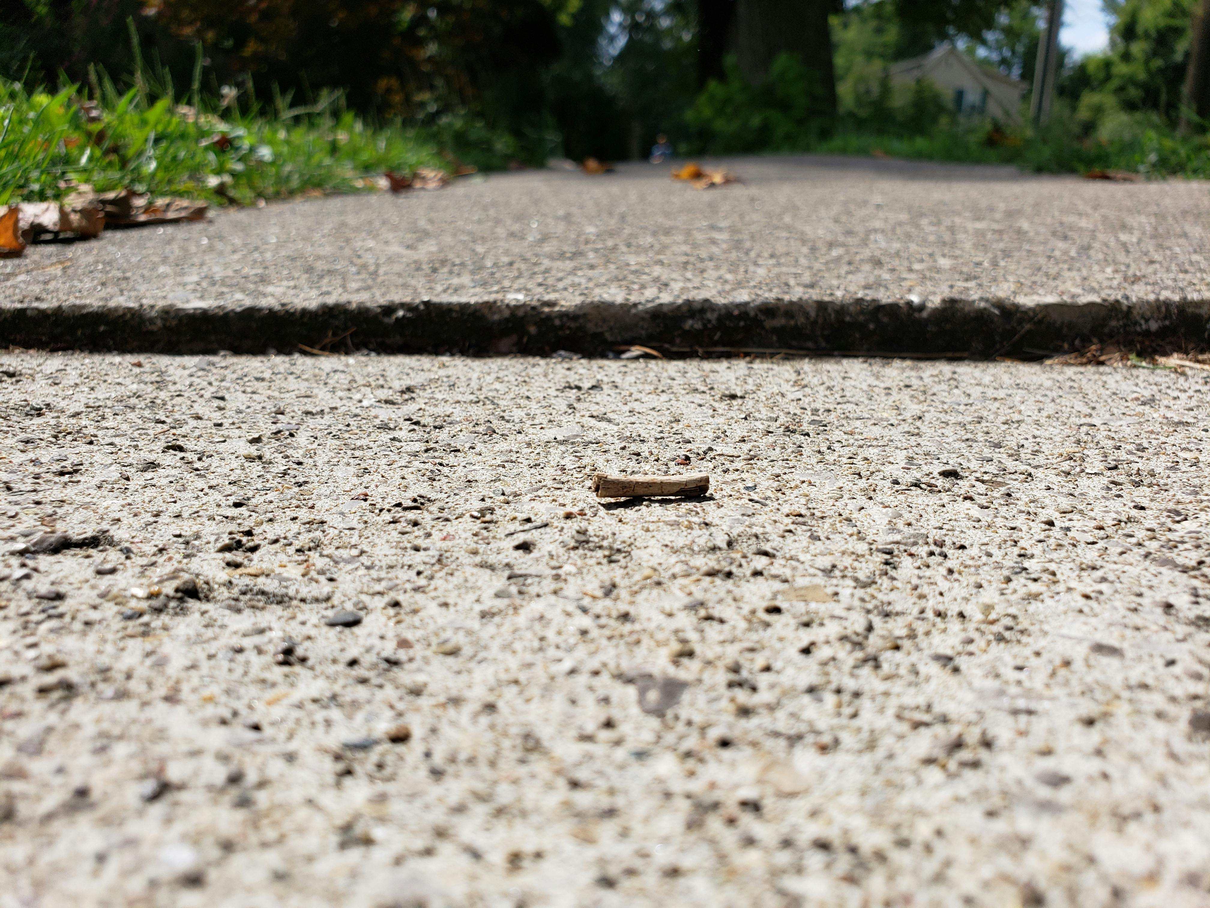 What is New Moon Day and When is it Celebrated? Meaningful Moon