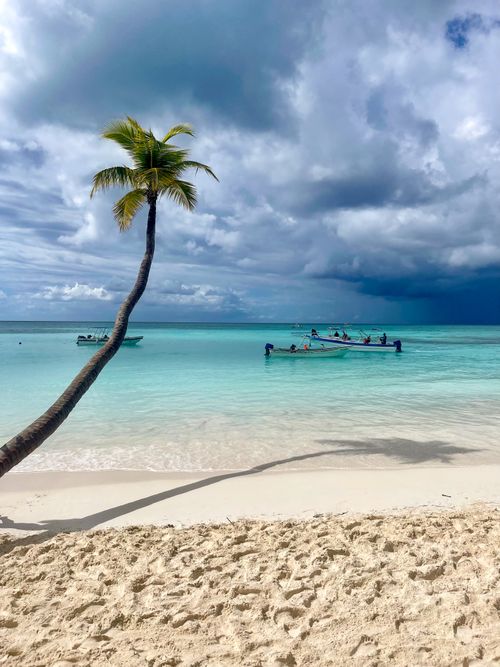 Free Idyllic tropical beach with turquoise water, white sand, and a lone palm tree under cloudy skies. Stock Photo