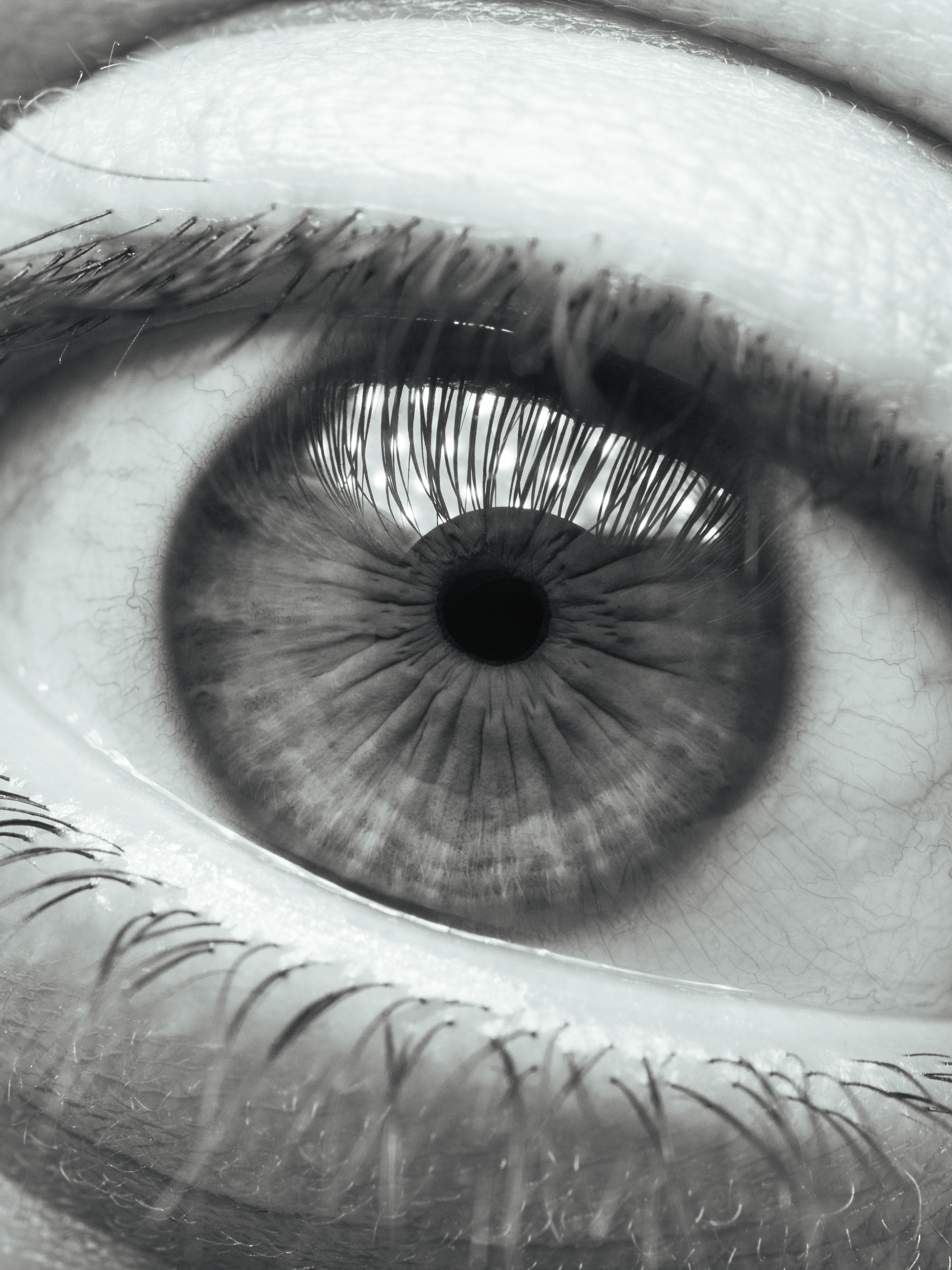 Fotomural Fotolia