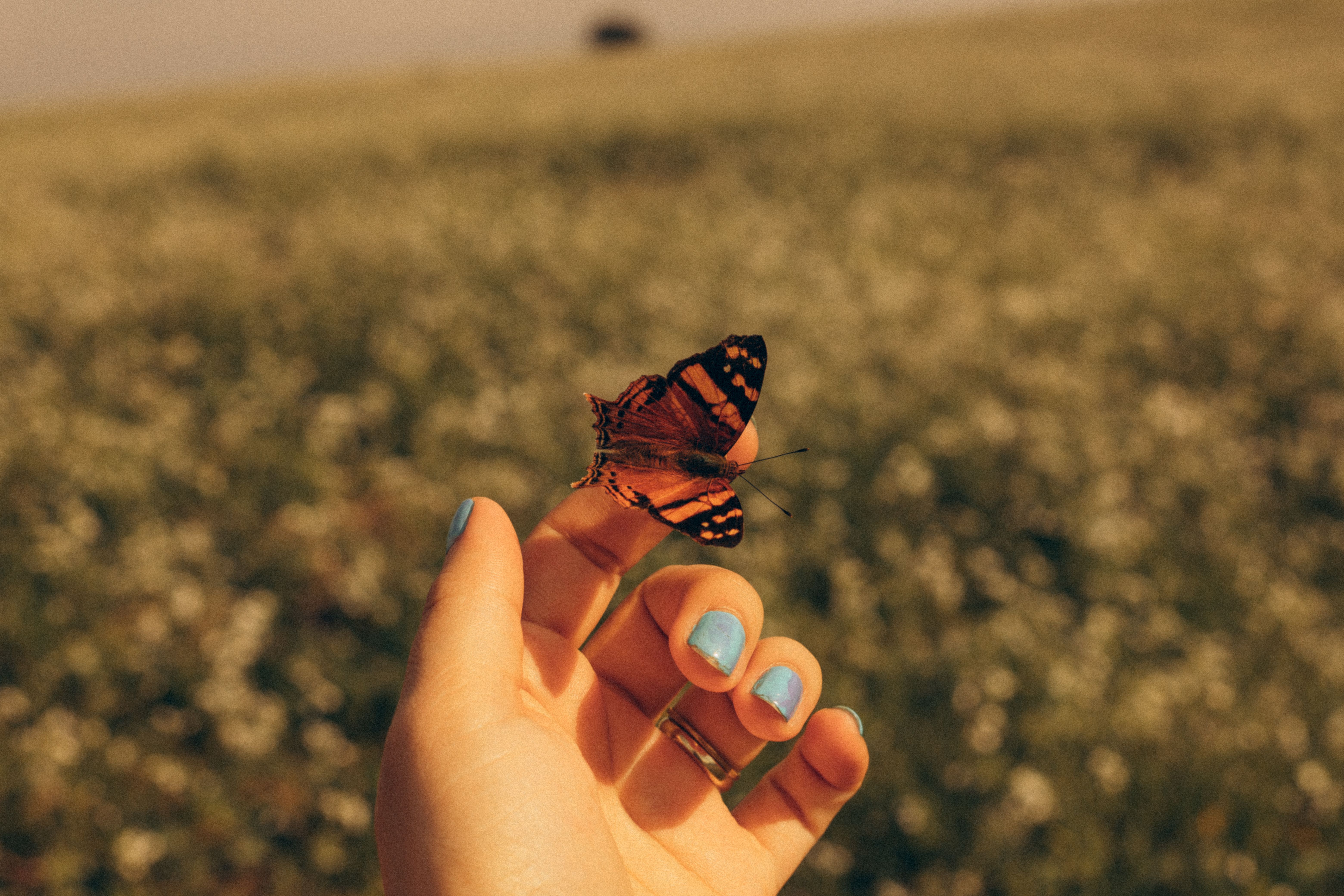 Agence Effet Papillon : Services Marketing 2026