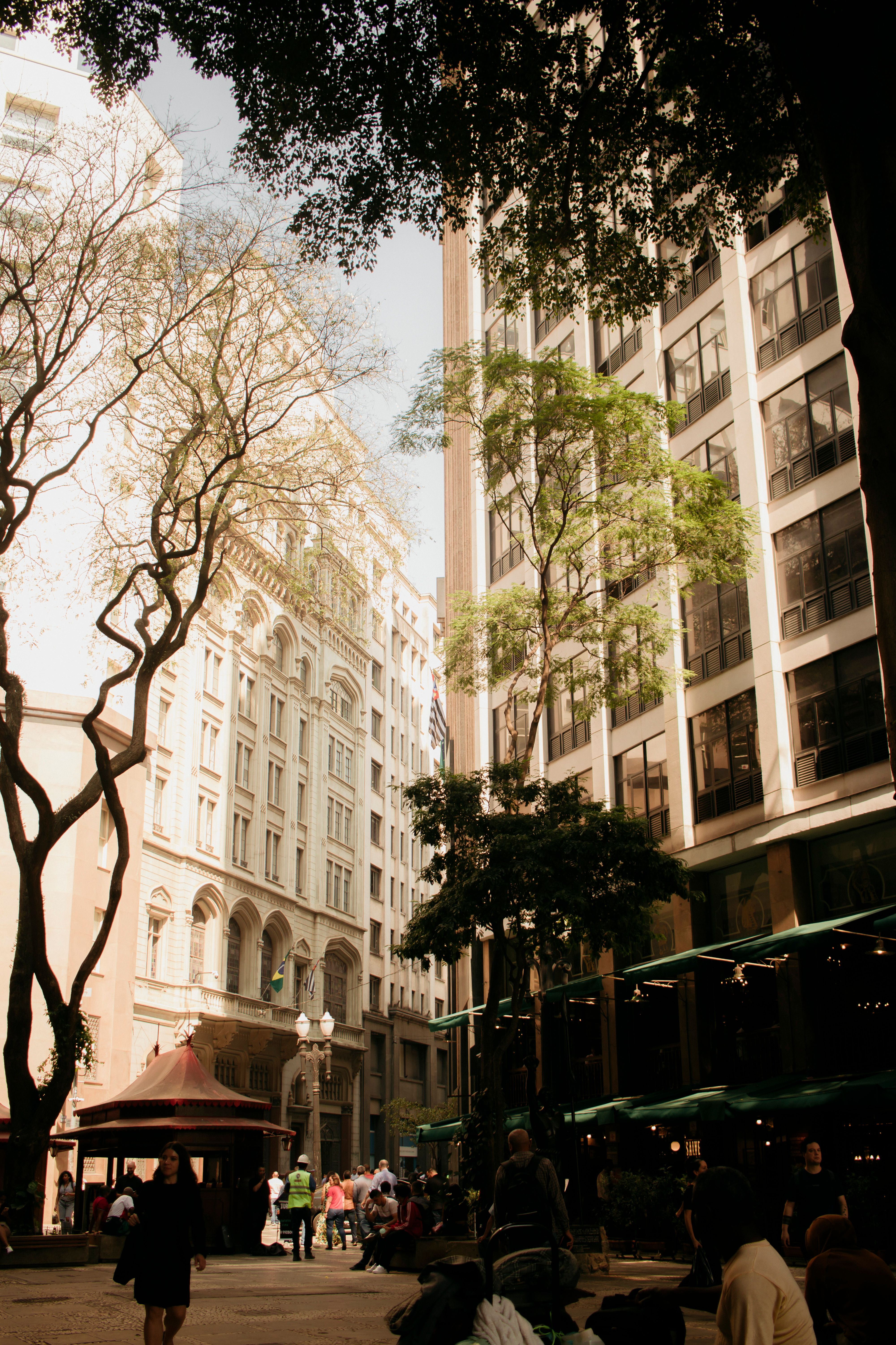 A city street with trees and buildings in the background · Free Stock Photo