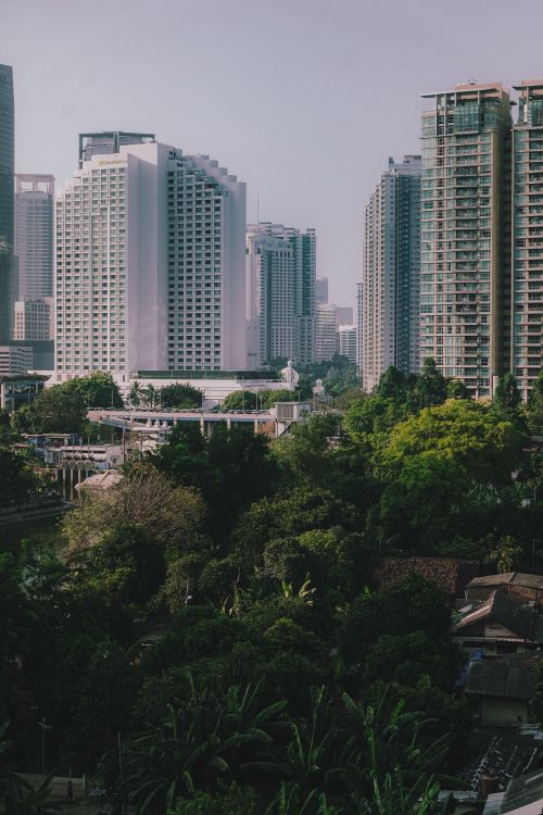 Free A view of Jakarta's modern skyline with lush greenery in the foreground. Stock Photo