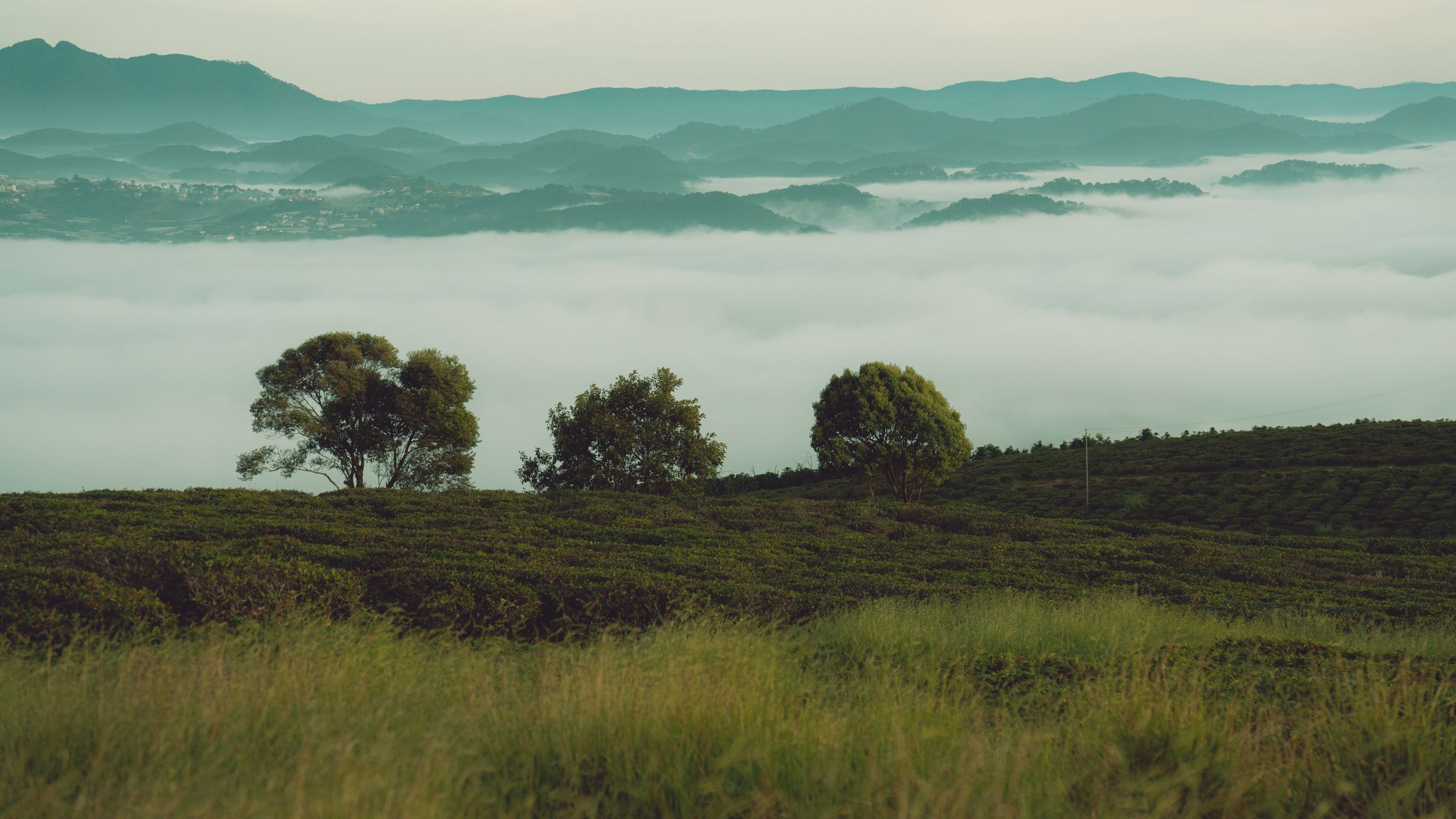 Breathtaking view of a misty morning over lush green hills in Dalat, Vietnam.