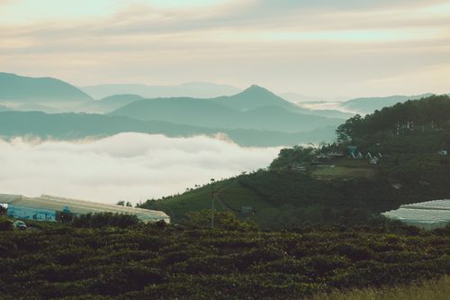 Free Overlooking the misty countryside and mountains at dawn in Dalat, Vietnam. Stock Photo