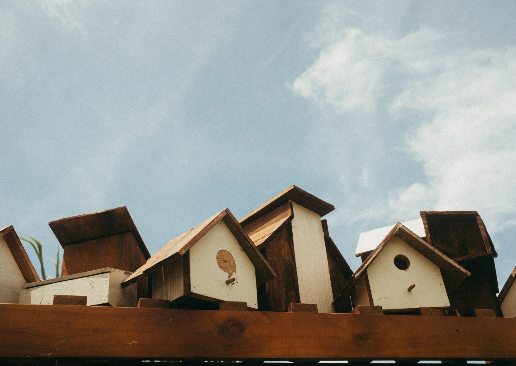 Professional removals crew at work — house clearance Stepps