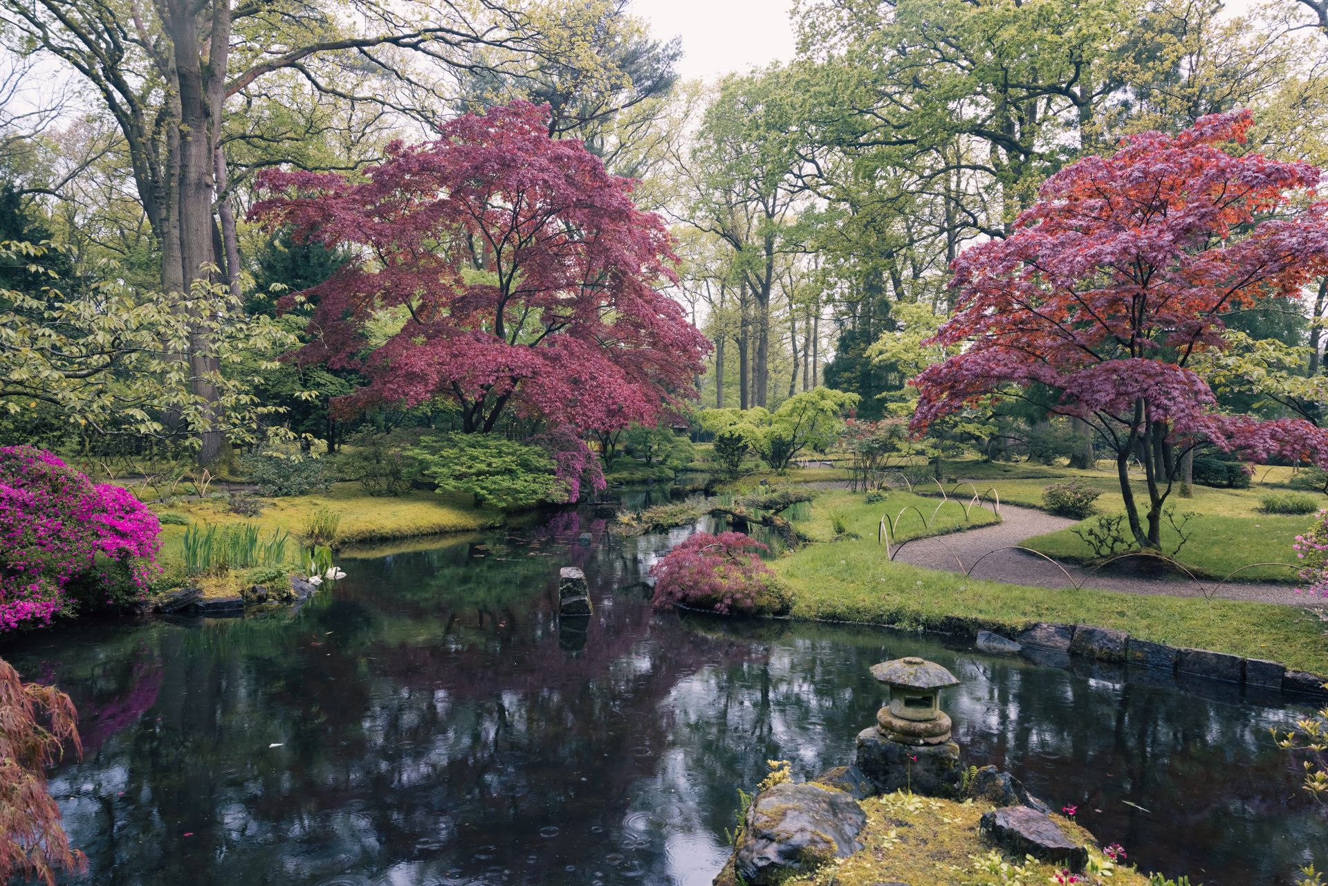 Tranquil Japanese garden in Den Haag, Netherlands, showcasing vibrant autumn colors and a peaceful pond reflection.