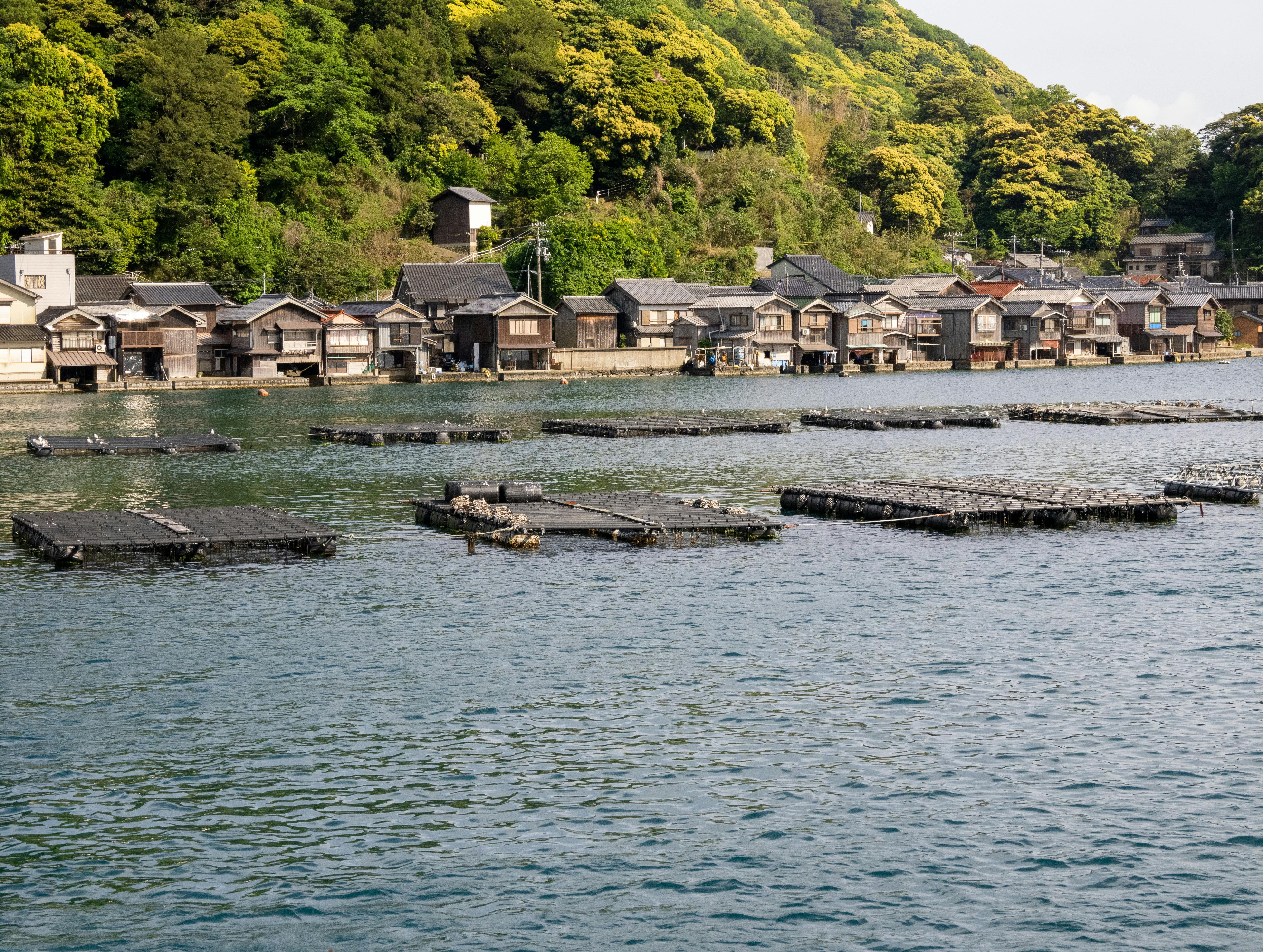 The Minamata Disease Poisoning