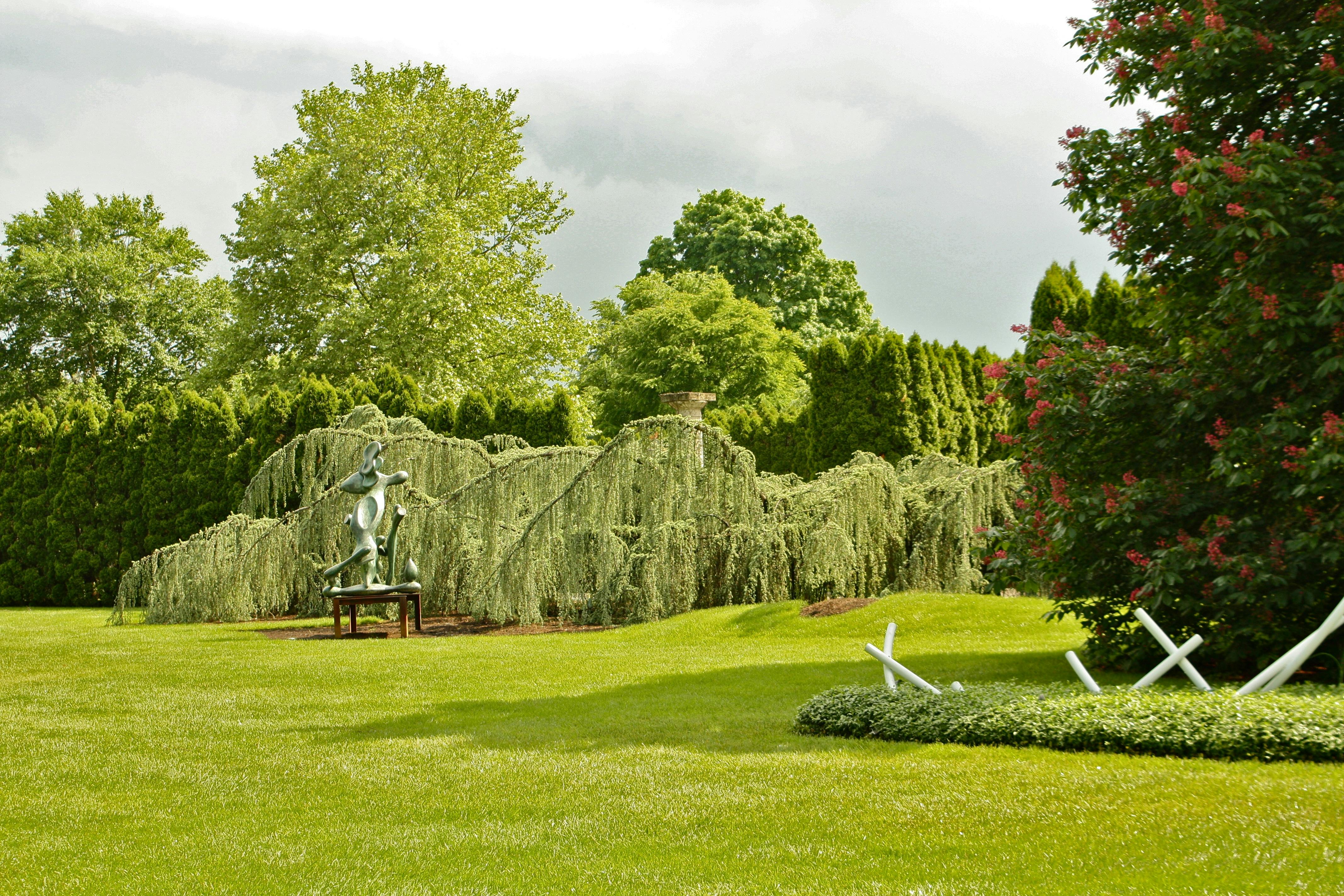 Kostenloses Foto zum Thema blumengarten, garten, kÃ¼nstlerische bildung