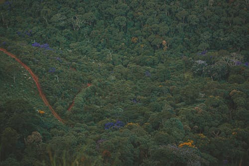 Gratis lagerfoto af dagslys, dronefotografering, droneoptagelse