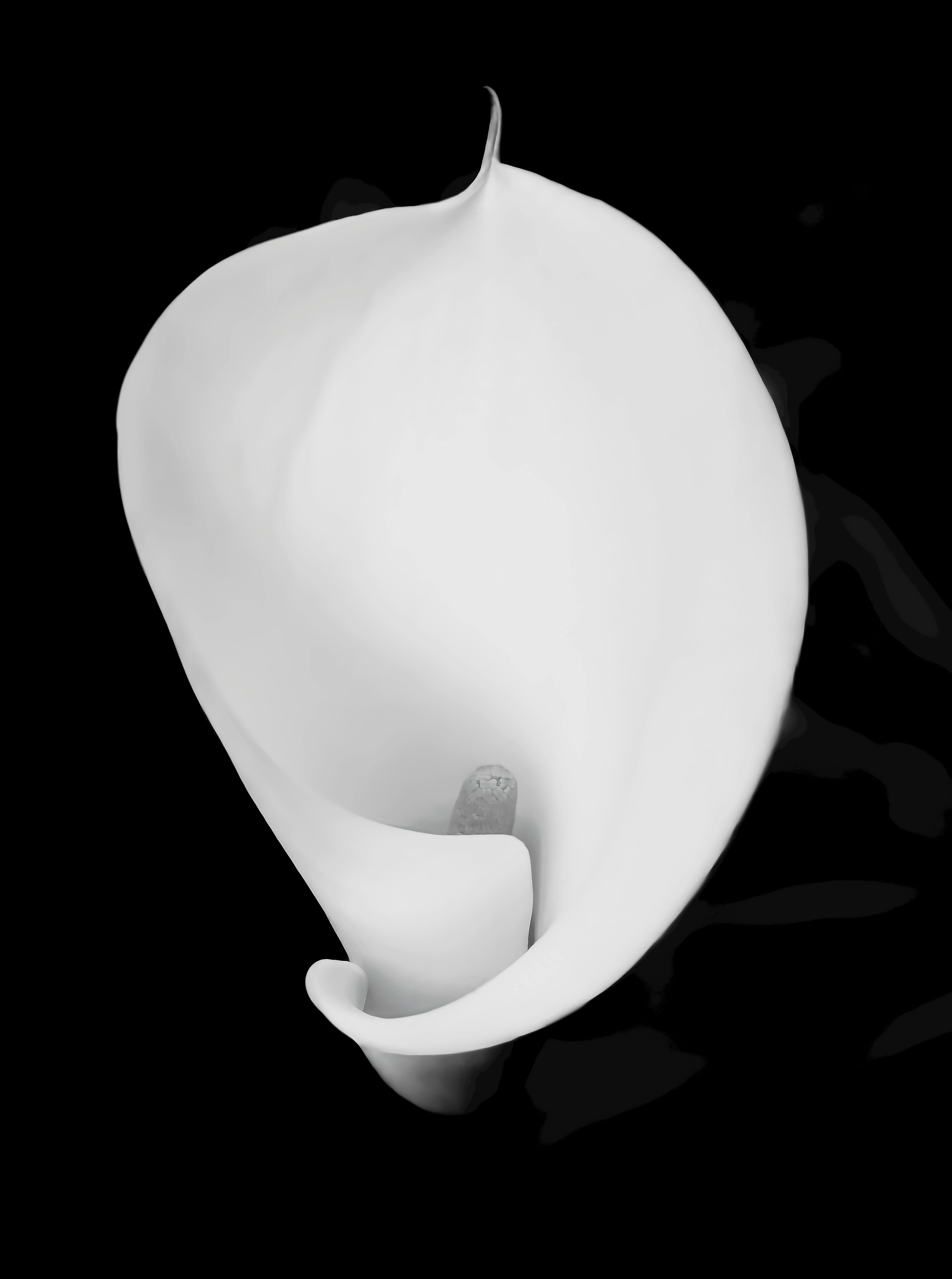 무료 간단 스톡 사진