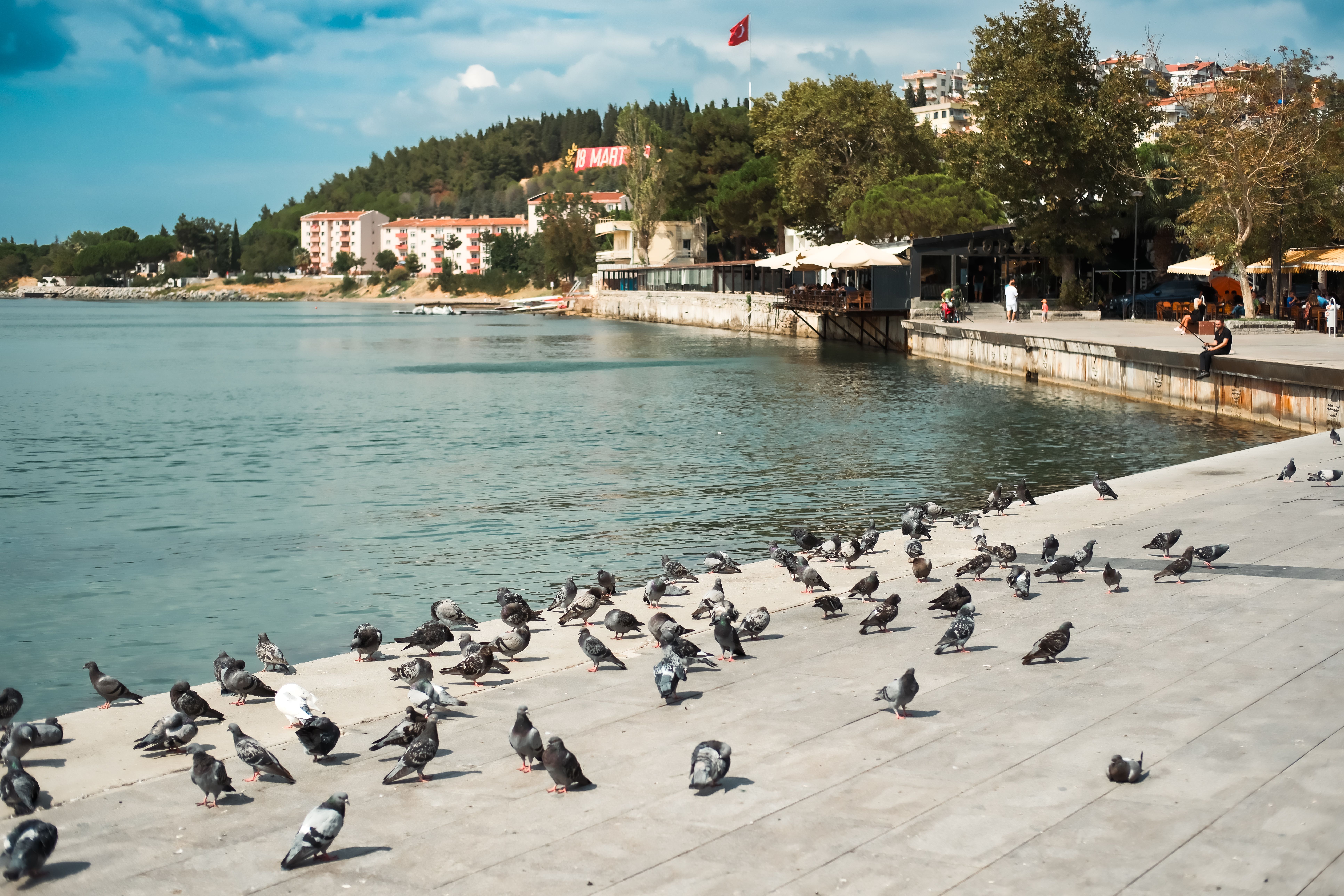 Güvercinlik