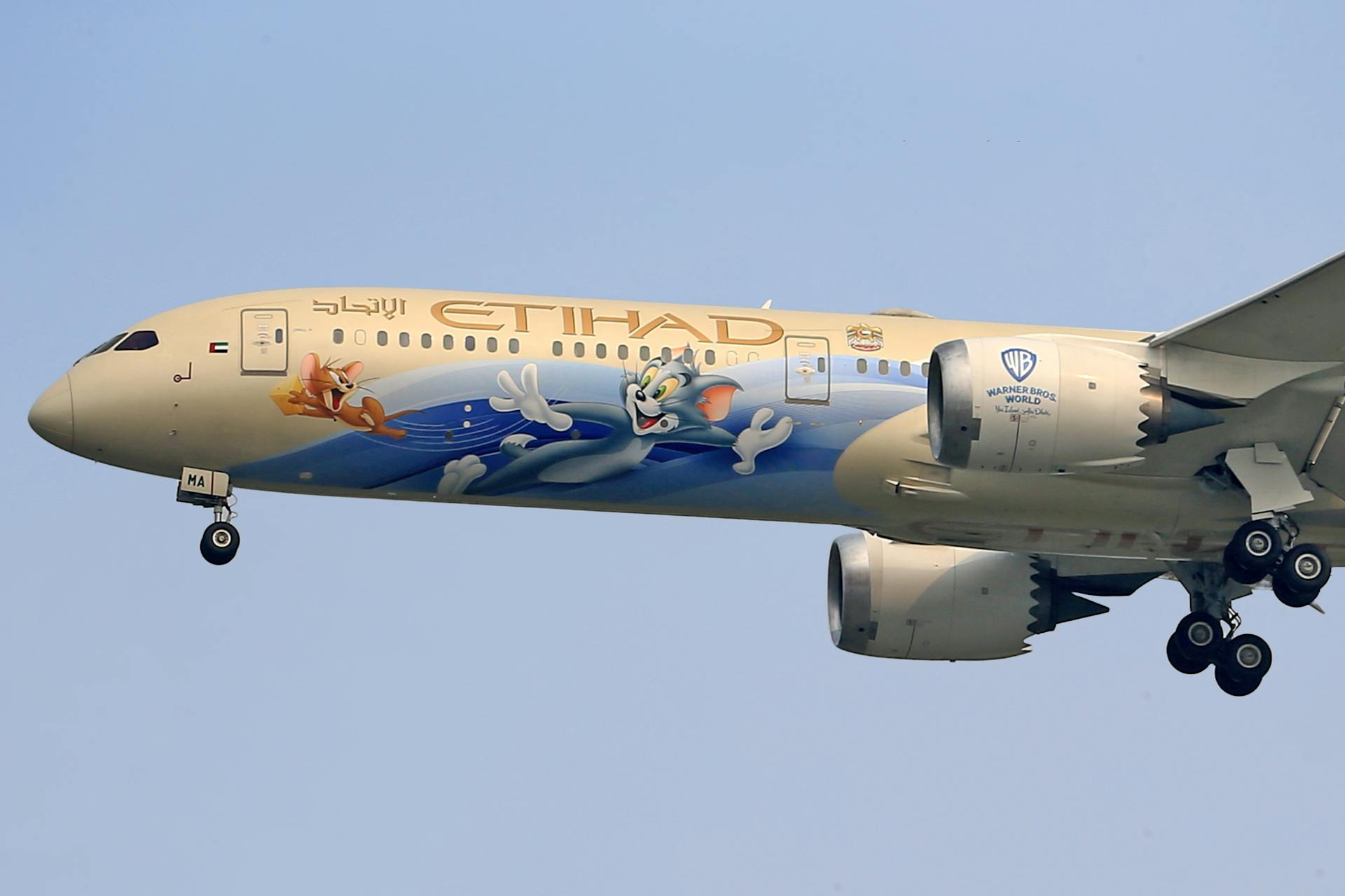 Etihad Airways Boeing 787 featuring Tom and Jerry cartoon livery in flight.