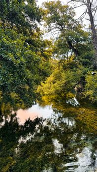 Beautiful reflective river with lush trees in Ohrid, North Macedonia under soft daylight.