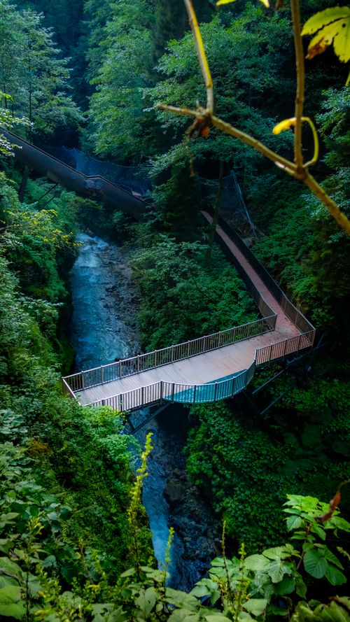 Free Explore the lush greenery and winding river below this bridge in Rize, Türkiye. Stock Photo