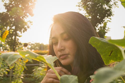 Free stock photo of asian, asian girl, golden sun