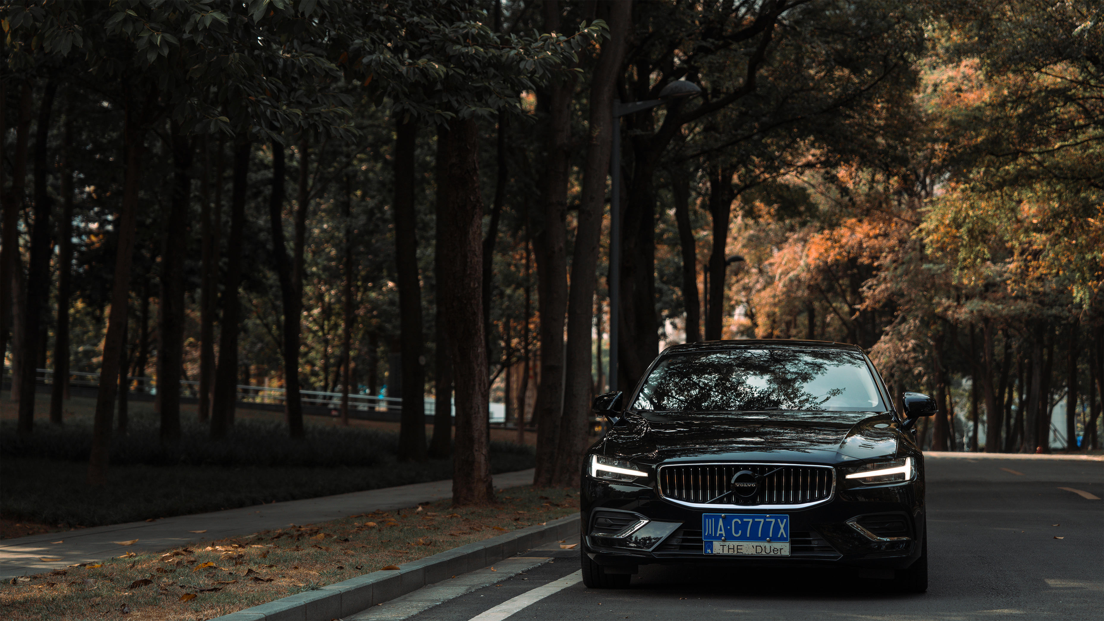 Best Online Car-Buying Sites Of 2026 — Photo by Oli Liao on Pexels