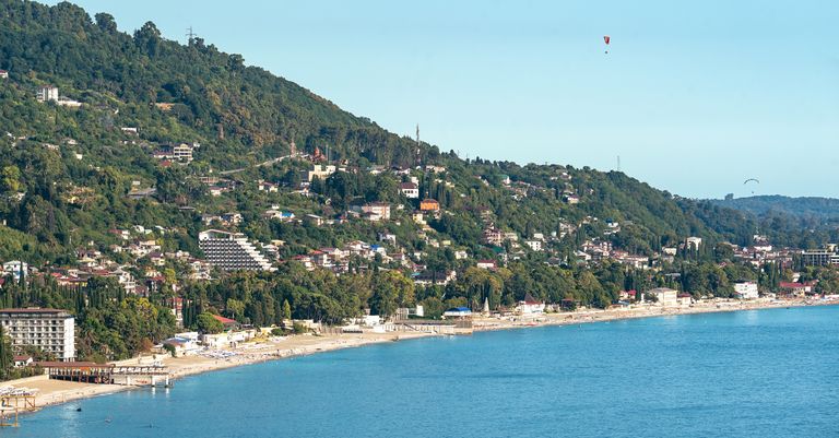War in Ukraine linked to over 120,000 dolphin deaths in Black Sea