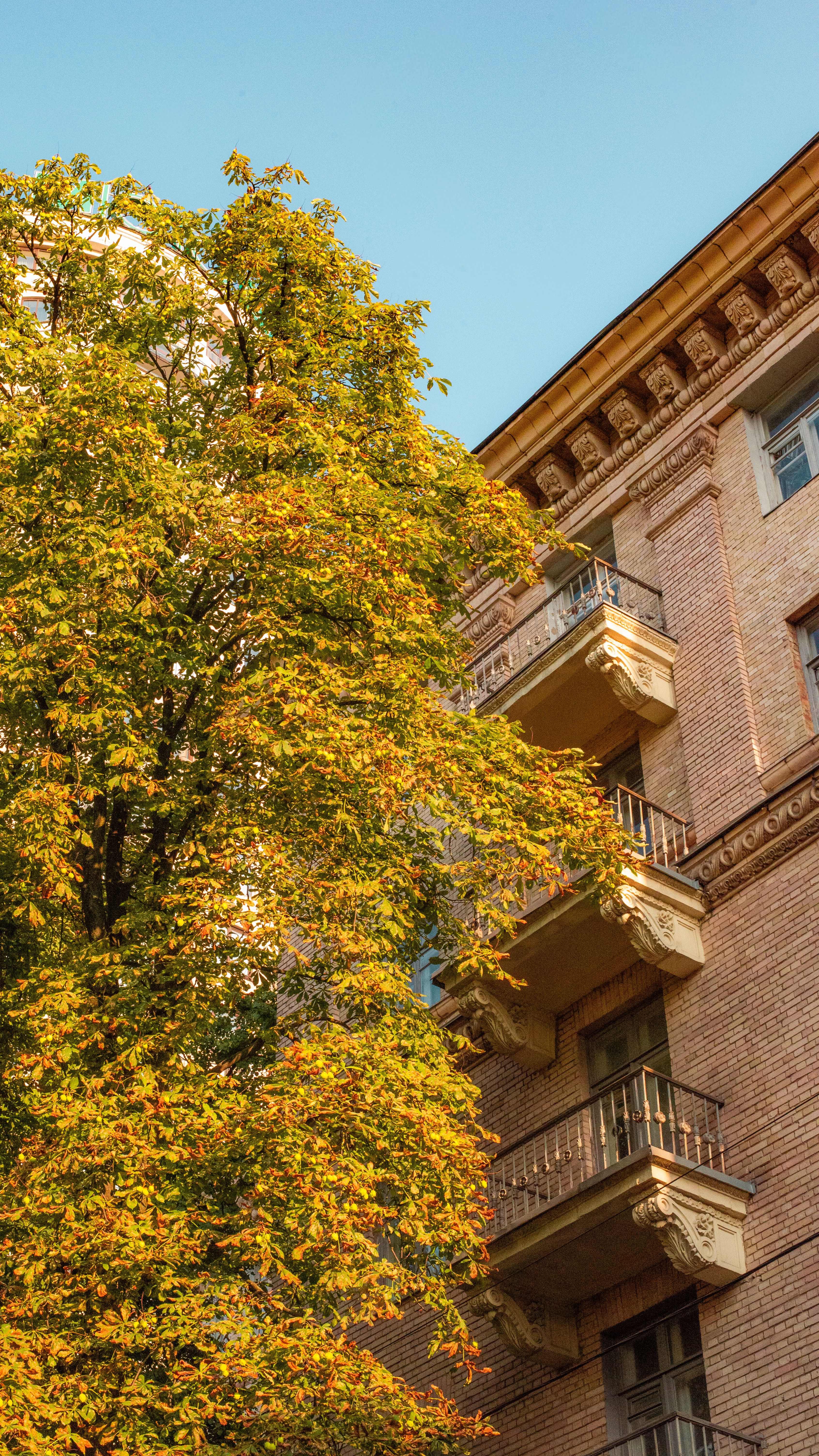 Fotomural La fachada de un edificio histórico resalta los colores otoñales de un árbol en Kyiv, Ucrania.