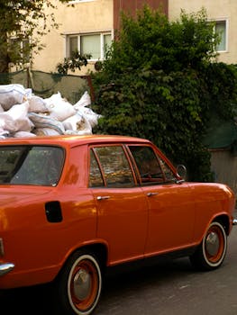 A classic orange car parked on a city street in front of a green leafy backdrop.