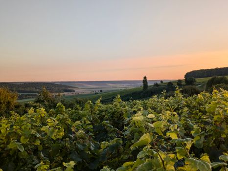 Vrigne-aux-Bois