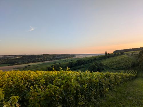 Champagne region day trip from Paris