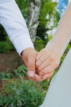 A close-up of a newlywed couple's hands, showcasing their wedding rings in a natural setting.